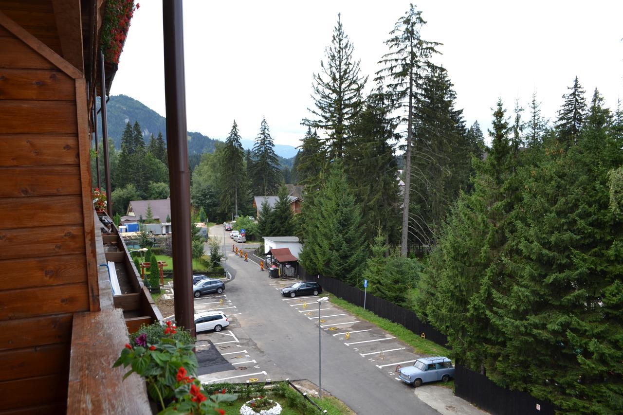 Studio Alex Poiana Brasov Εξωτερικό φωτογραφία